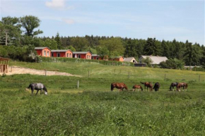 Ferienhaus mit großer Terrasse am Garder See